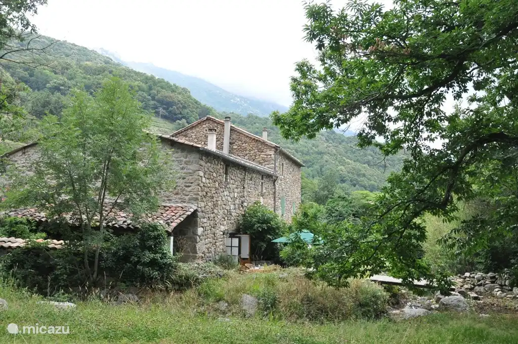 mas aus dem Obstgarten gesehen