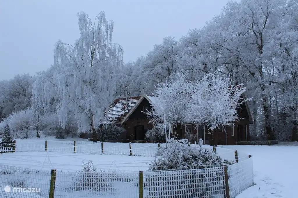Erve Getkot dans une ambiance hivernale
