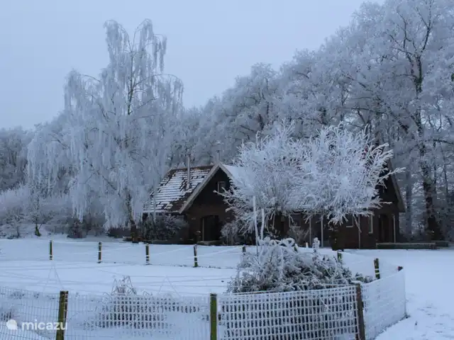Erve Getkot  'n Belt en Países Bajos, Overijssel, Ootmarsum - casa vacacional Erve Getkot en un ambiente invernal