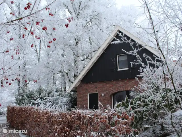 Erve Getkot  'n Belt en Países Bajos, Overijssel, Ootmarsum - casa vacacional Erve Getkot en un ambiente invernal