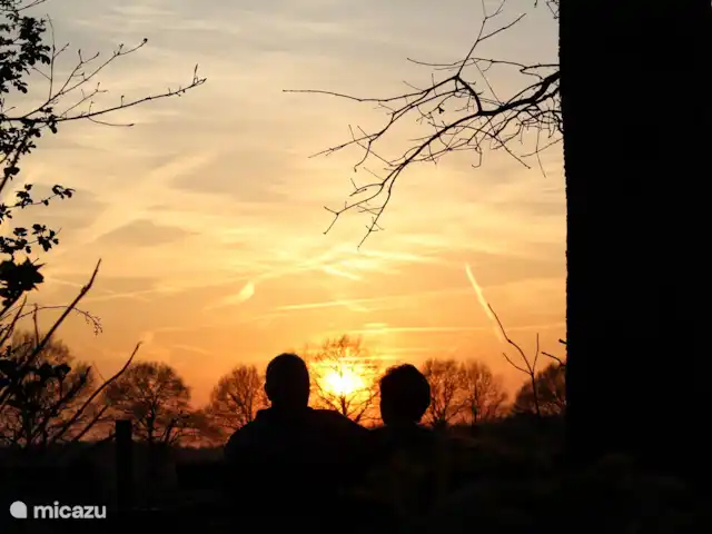 Erve Getkot  'n Belt en Países Bajos, Overijssel, Ootmarsum - casa vacacional por la noche mientras disfruta de una taza de café o una copa de vino, disfrutando de la puesta de sol en el banco