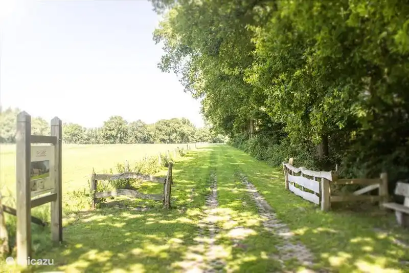 L'allée de repos et de détente