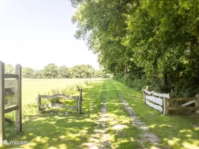 Erve Getkot  'n Belt en Países Bajos, Overijssel, Ootmarsum - casa vacacional El camino para descansar y relajarse.