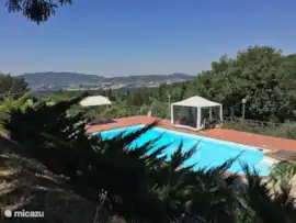 Borgsom frans Borgsom frans