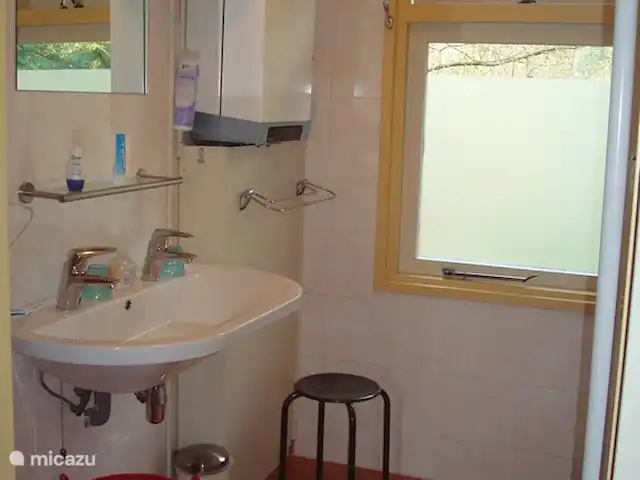 Troglodyte mignon | Pays-Bas, Gueldre, Emst (Epe) - maison de vacances Toujours pratique, un tel lavabo double ! À droite, vous entrez dans la douche