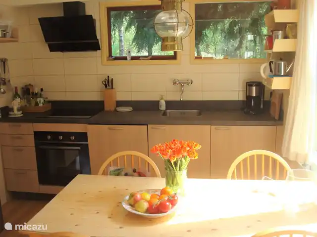 Troglodyte mignon | Pays-Bas, Gueldre, Emst (Epe) - maison de vacances Encore la cuisine