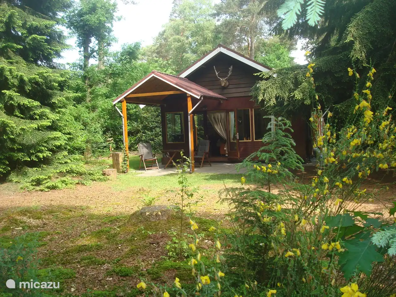 Vista de nuestra casa desde detrás de la escoba en flor.
