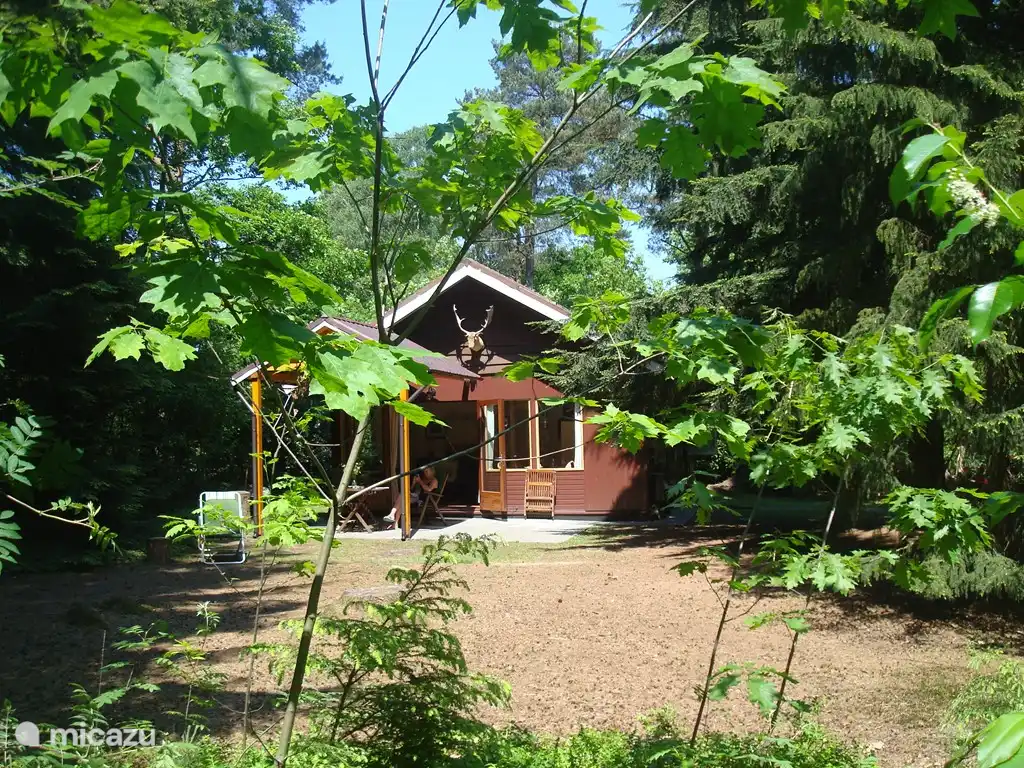 Otra vista de nuestra casa desde un ángulo diferente