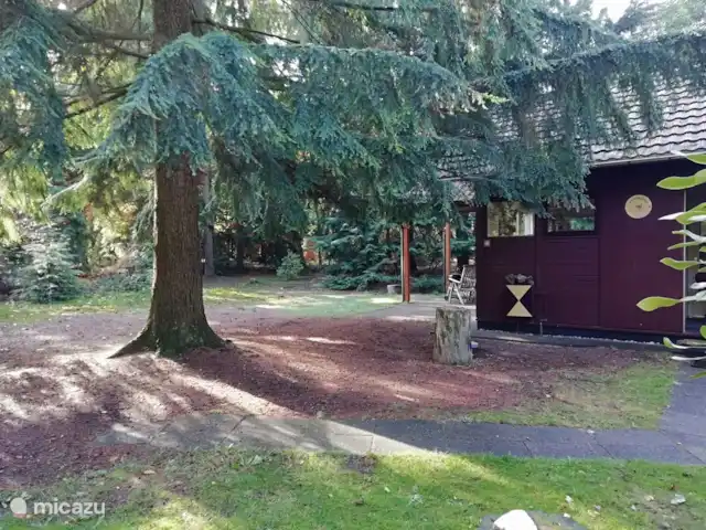 Troglodyte mignon | Pays-Bas, Gueldre, Emst (Epe) - maison de vacances Envie d'une partie de pétanque ? Beaucoup d'espace! Et vous trouverez les boules dans notre local à vélos.