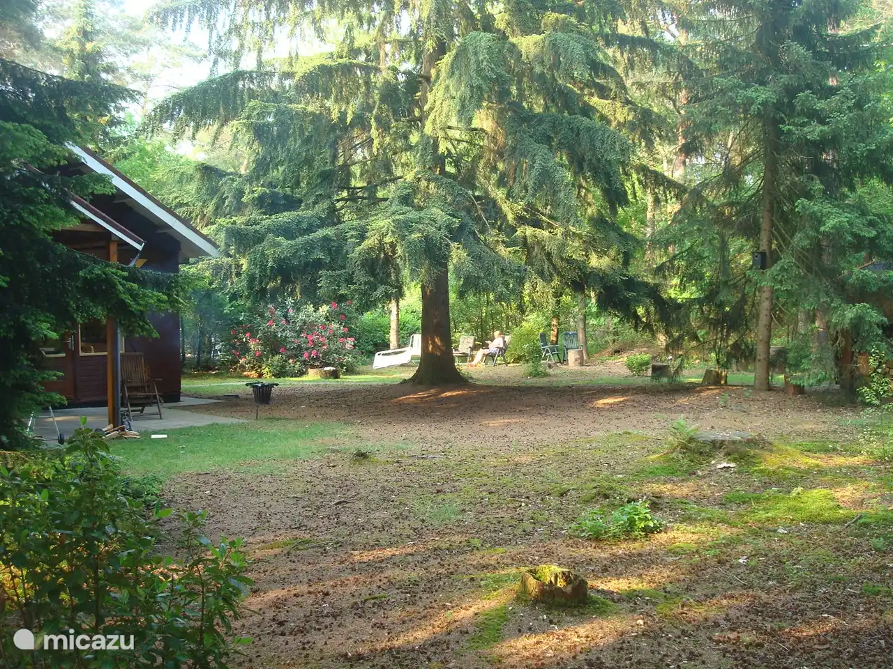 Disfruta leyendo bajo el sol de la tarde, primavera de 2021.