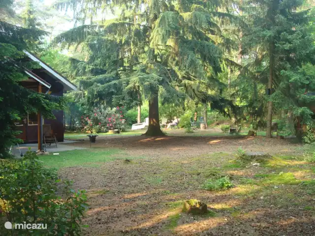 Troglodyte mignon | Pays-Bas, Gueldre, Emst (Epe) - maison de vacances Bonne lecture sous le soleil de l’après-midi, printemps 2021