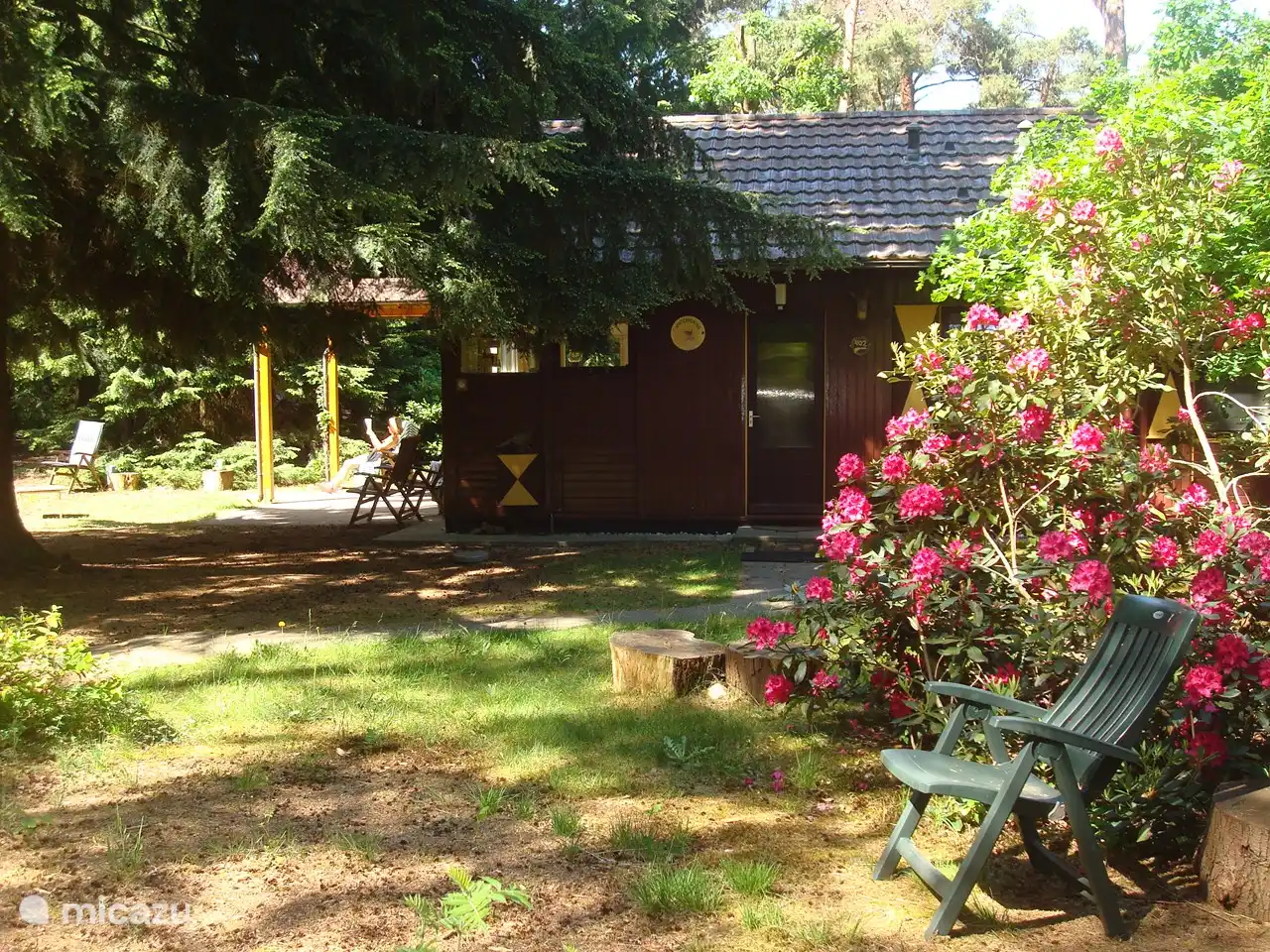 Lectura bajo el sol de la mañana, mayo de 2020