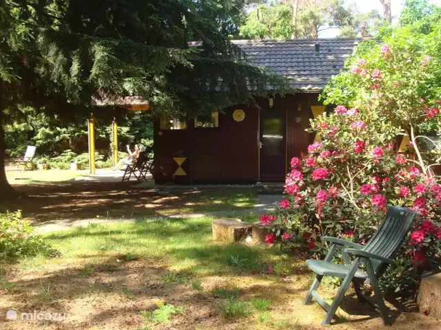 Troglodyte mignon | Pays-Bas, Gueldre, Emst (Epe) - maison de vacances Lecture au soleil du matin, mai 2020