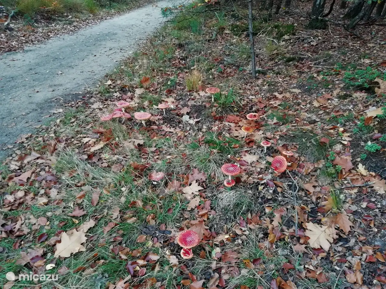 ¡Y un poco más adelante vemos veinte juntos!