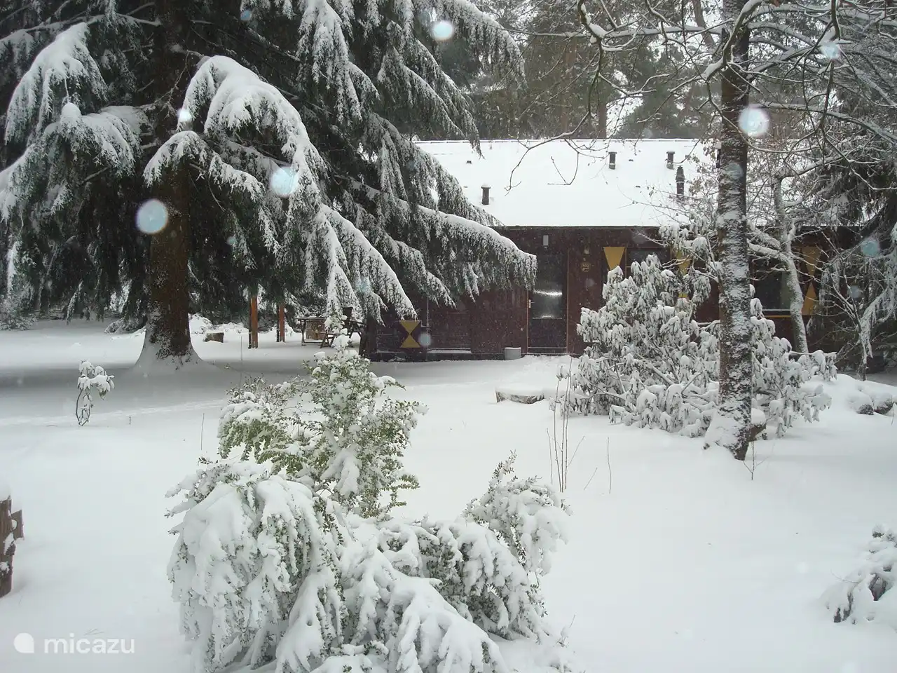 Febrero de 2021, con copos de nieve en la lente.