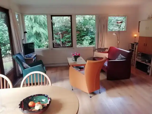 Troglodyte mignon | Pays-Bas, Gueldre, Emst (Epe) - maison de vacances Salon chaleureux avec une large vue sur notre terrain forestier sur trois côtés. Octobre 2022.