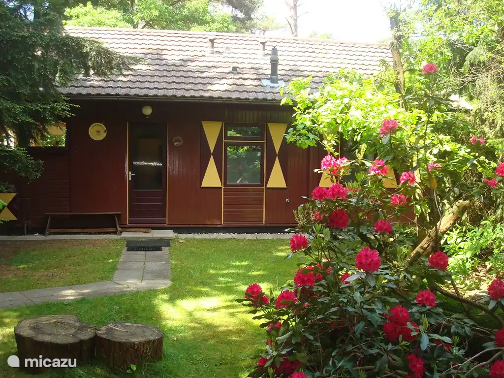 Puedes caminar hasta nuestra puerta de entrada a través de nuestro camino de entrada y un camino de baldosas.