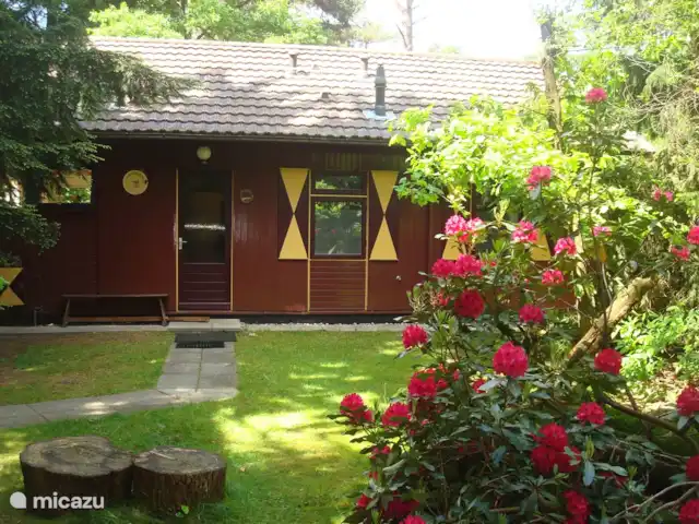 Troglodyte mignon | Pays-Bas, Gueldre, Emst (Epe) - maison de vacances Vous pouvez marcher jusqu'à notre porte d'entrée par notre allée et un chemin carrelé
