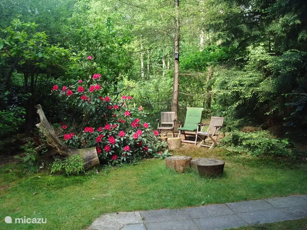 Uno de los lugares románticos al lado de nuestra casa.