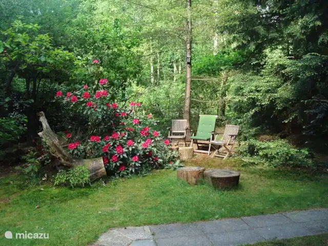 Troglodyte mignon | Pays-Bas, Gueldre, Emst (Epe) - maison de vacances L'un des endroits romantiques à côté de notre maison.