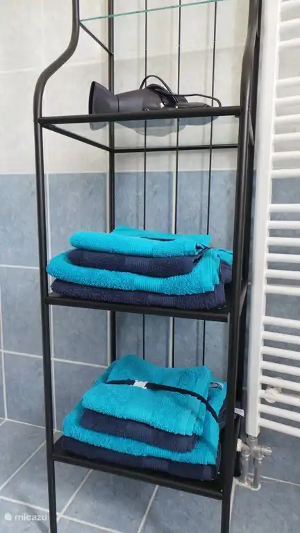 Bathroom with towels and hair dryer