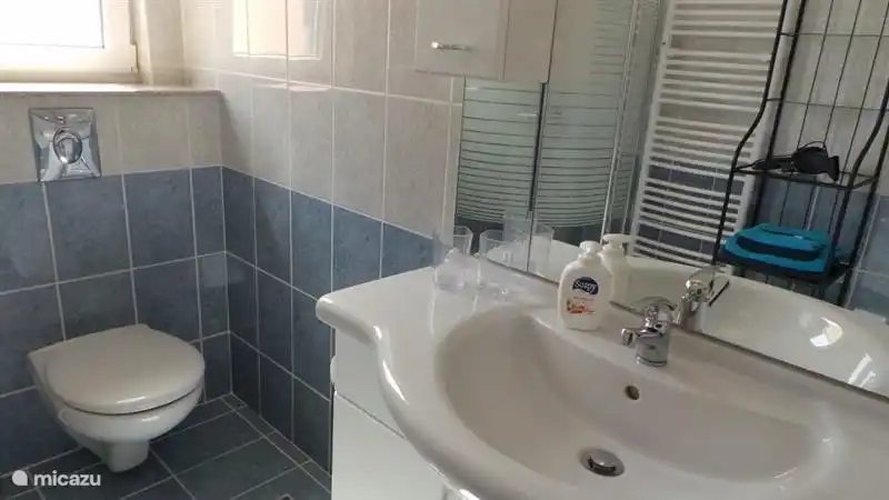 Bathroom with shower (towels included)