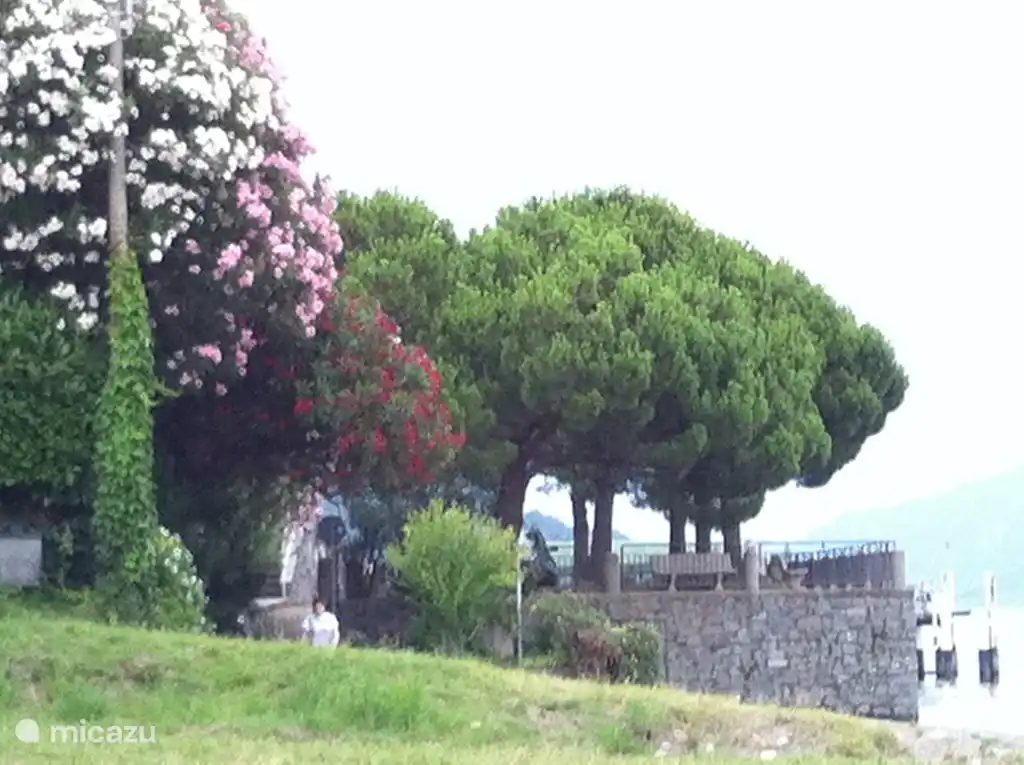 Puedes caminar directamente a la playa desde el bulevar.