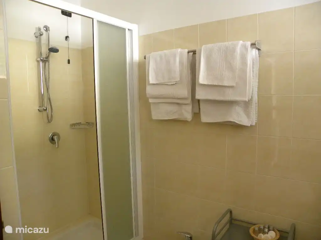 El baño en el piso de estar tiene una amplia ducha, lavabo, bidé e inodoro. Cada huésped tiene 3 toallas a su disposición. Hay lavadora y tendedero.