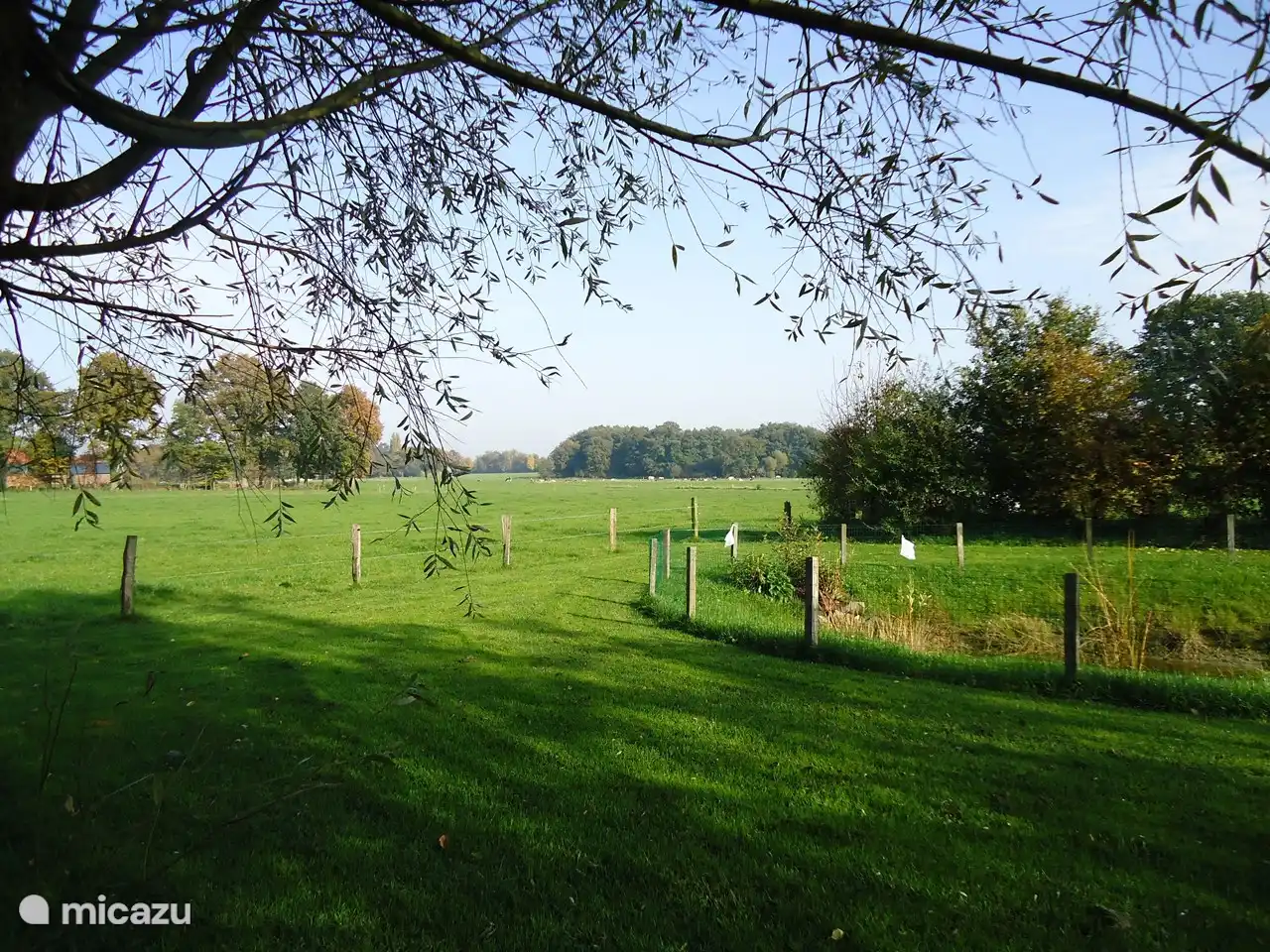 Blick von der Terrasse des Ferienhauses 'n Pol