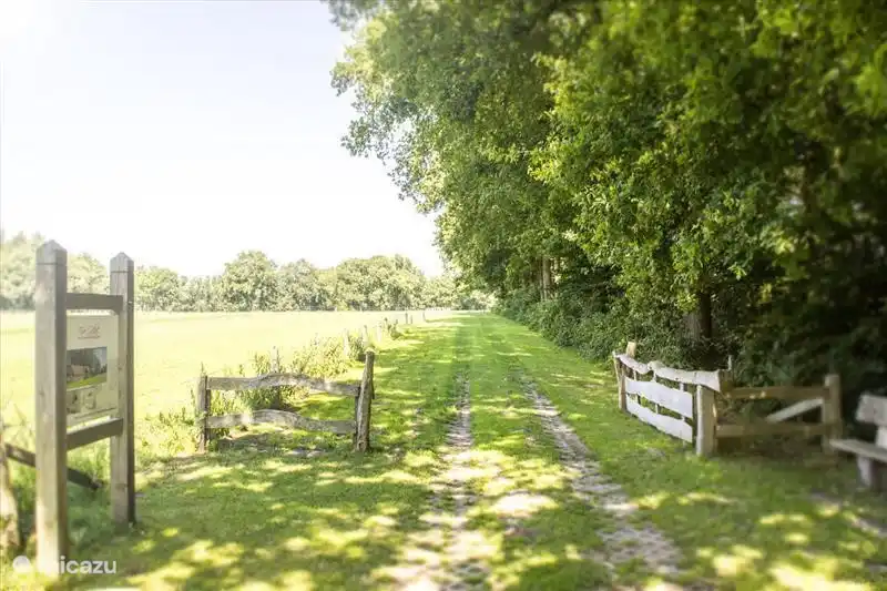 Die Zufahrt für Ruhe und Entspannung