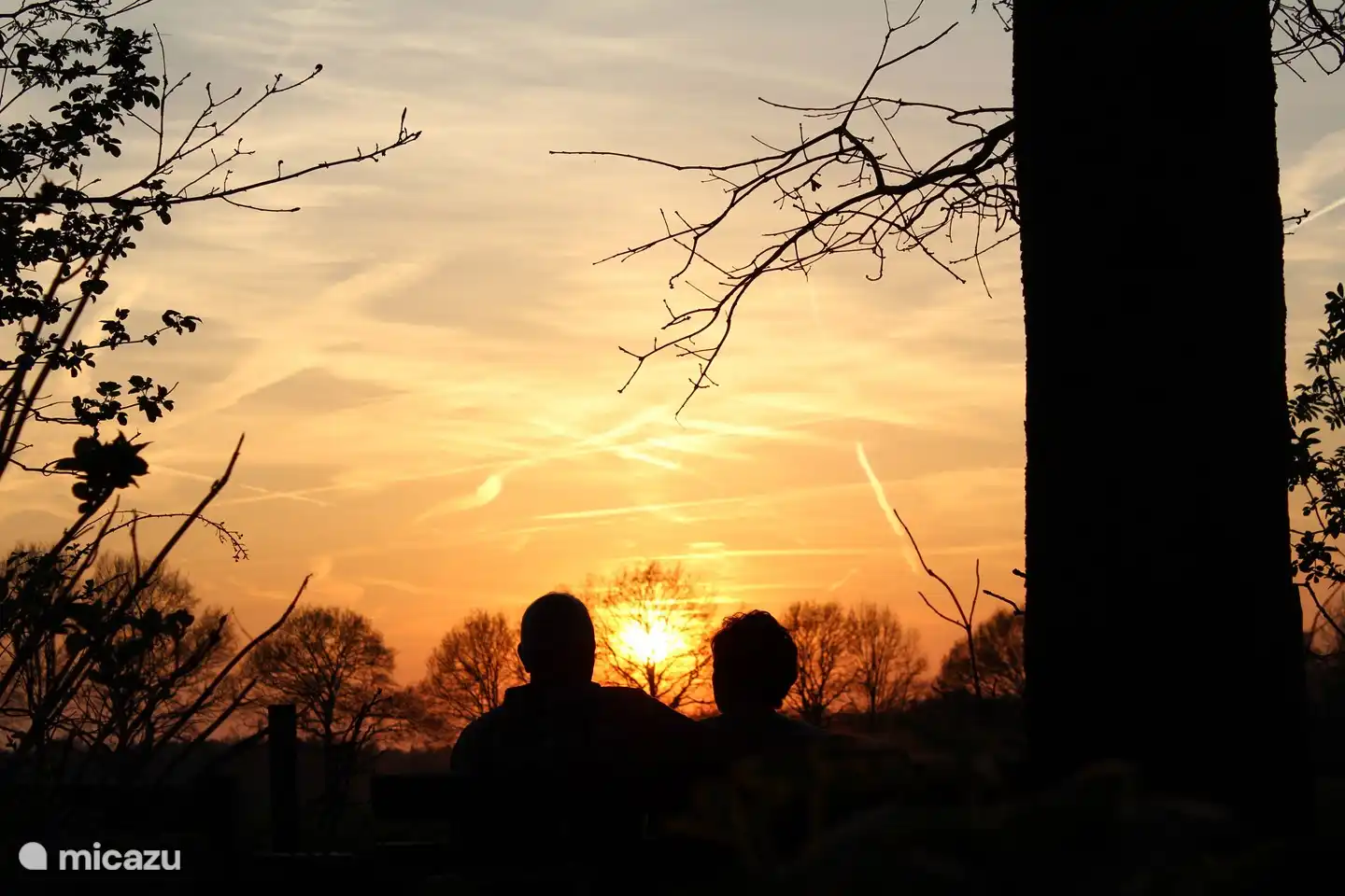 In the evening while enjoying a cup of coffee or a glass of wine, enjoy the sunset on the bench