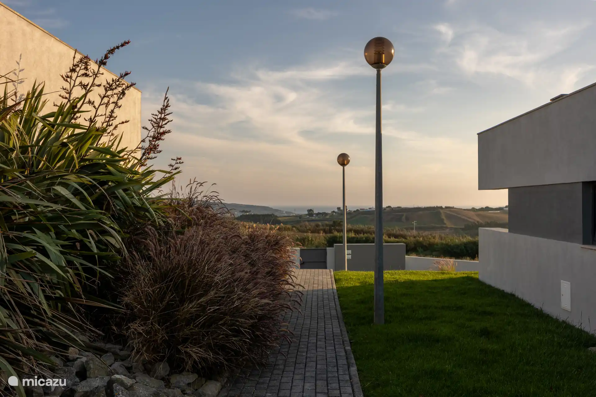 Garden with special plants