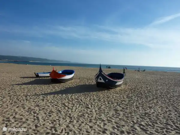 A beautiful beach where you can unwind!