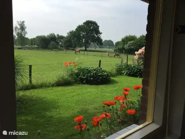 Bungalow Rural Privado de Vacaciones Ov en Países Bajos, Overijssel, Hardenberg - bungaló vista desde la ducha