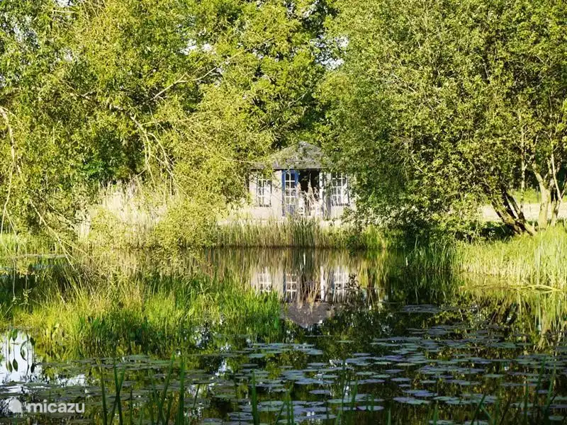 Das Ferienhaus am Froschteich