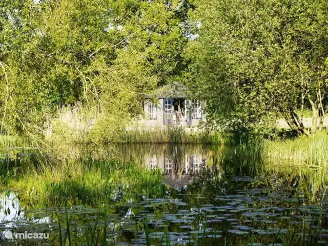Bungalow Rural Privado de Vacaciones Ov en Países Bajos, Overijssel, Hardenberg - bungaló La cabaña en el estanque de las ranas