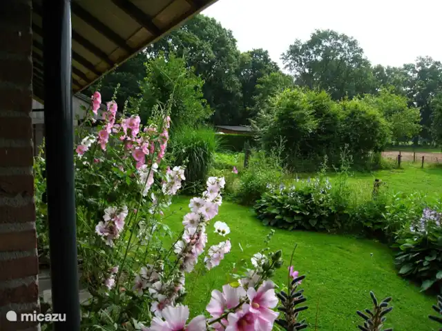 Bungalow Rural Privado de Vacaciones Ov en Países Bajos, Overijssel, Hardenberg - bungaló Vista desde la terraza cubierta