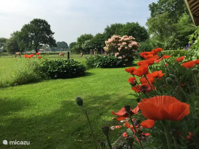 Bungalow Rural Privado de Vacaciones Ov en Países Bajos, Overijssel, Hardenberg - bungaló El jardín