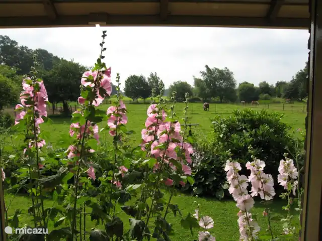 Bungalow Rural Privado de Vacaciones Ov en Países Bajos, Overijssel, Hardenberg - bungaló Vista desde la sala de estar
