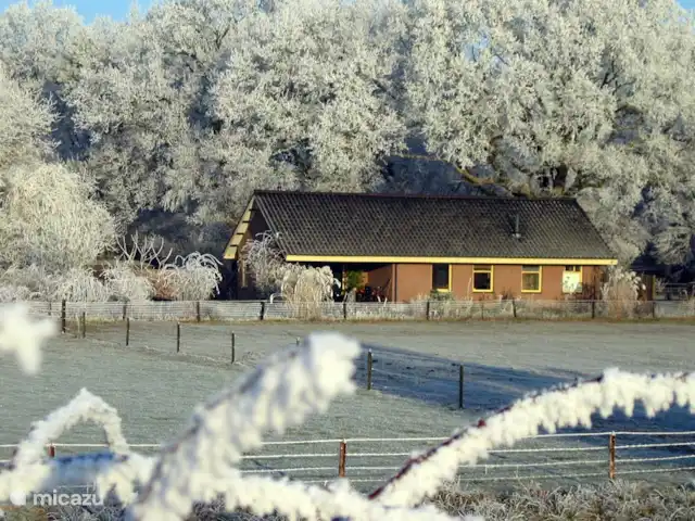 Bungalow Rural Privado de Vacaciones Ov en Países Bajos, Overijssel, Hardenberg - bungaló Invierno en el Eikenhof