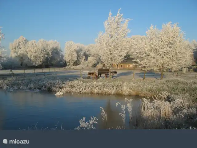 Bungalow Rural Privado de Vacaciones Ov en Países Bajos, Overijssel, Hardenberg - bungaló Invierno en el Eikenhof