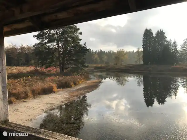 Bungalow Rural Privado de Vacaciones Ov en Países Bajos, Overijssel, Hardenberg - bungaló Boswachterij de Oldemeijer