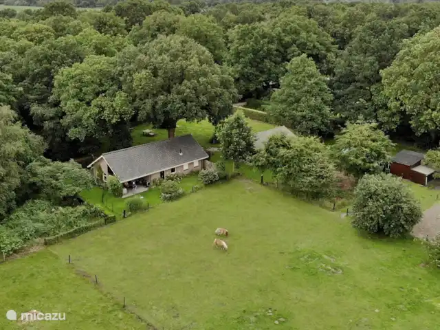 Bungalow Rural Privado de Vacaciones Ov en Países Bajos, Overijssel, Hardenberg - bungaló vista aérea