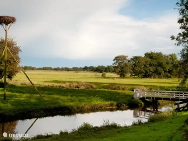 Bungalow Rural Privado de Vacaciones Ov en Países Bajos, Overijssel, Hardenberg - bungaló el valle de rees
