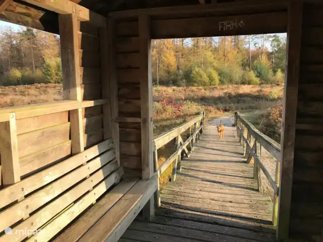 Bungalow Rural Privado de Vacaciones Ov en Países Bajos, Overijssel, Hardenberg - bungaló Boswachterij de Oldemeijer cerca de Hardenberg