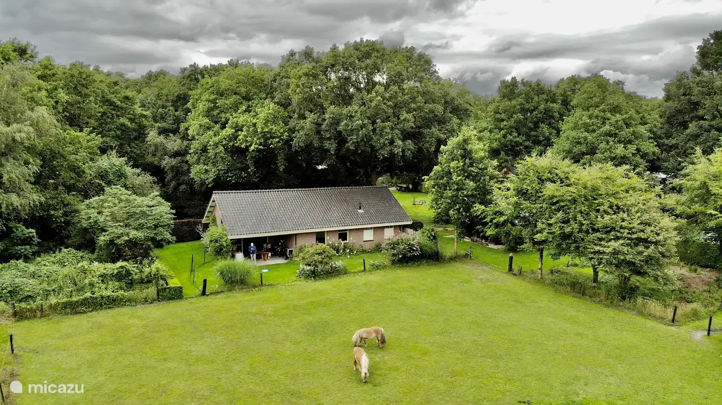 Ländliche Privat Ferien Ov in Niederlande, Overijssel, Hardenberg - Bungalow