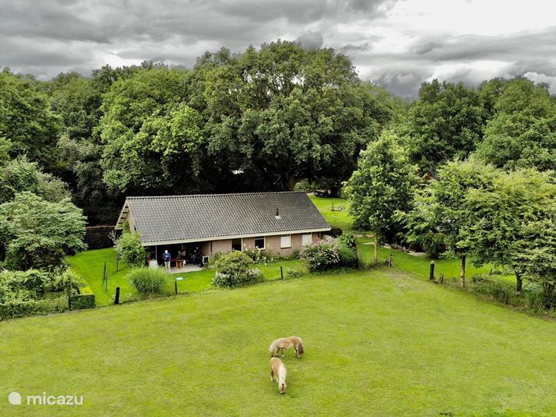Maison de Vacances Pays-Bas, Overijssel, Hardenberg Bungalow Bungalow de vacances privé rural Ov