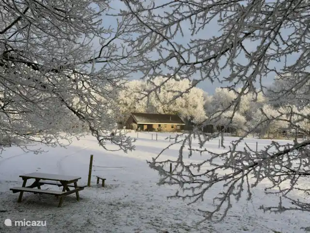 Bungalow Rural Privado de Vacaciones Ov en Países Bajos, Overijssel, Hardenberg - bungaló invierno en Schuinesloot