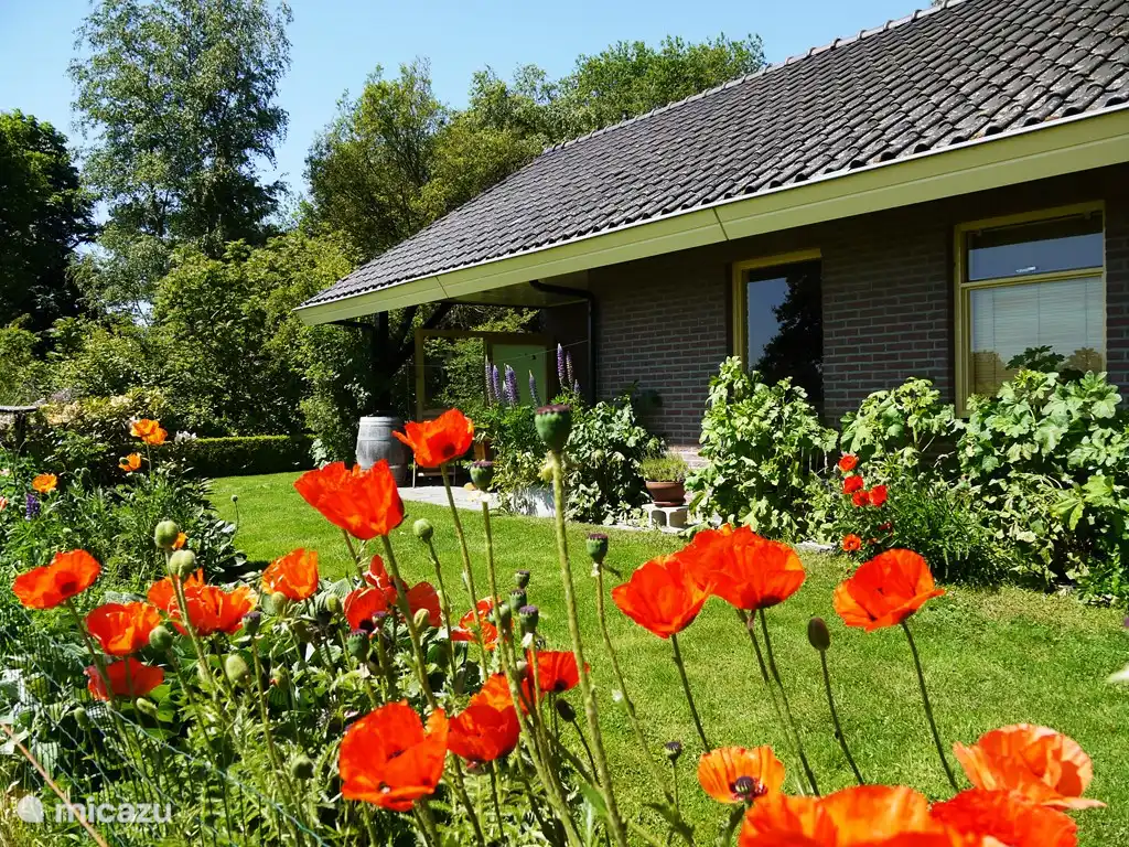 Ländliche Privat Ferien Ov in Niederlande, Overijssel, Hardenberg - Bungalow