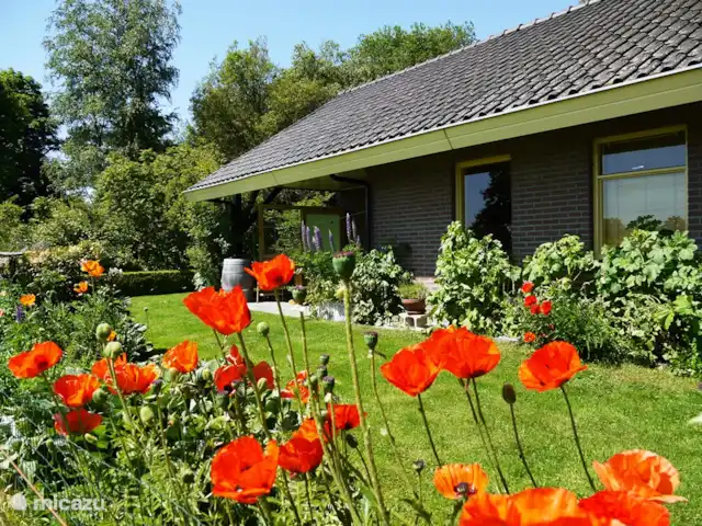 Bungalow Rural Privado de Vacaciones Ov en Países Bajos, Overijssel, Hardenberg - bungaló Casa de vacaciones privada rural y tranquila para 2-4 personas en una ubicación única en Overijssels-Vechtdal.